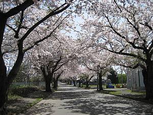 IMG_00511.jpg